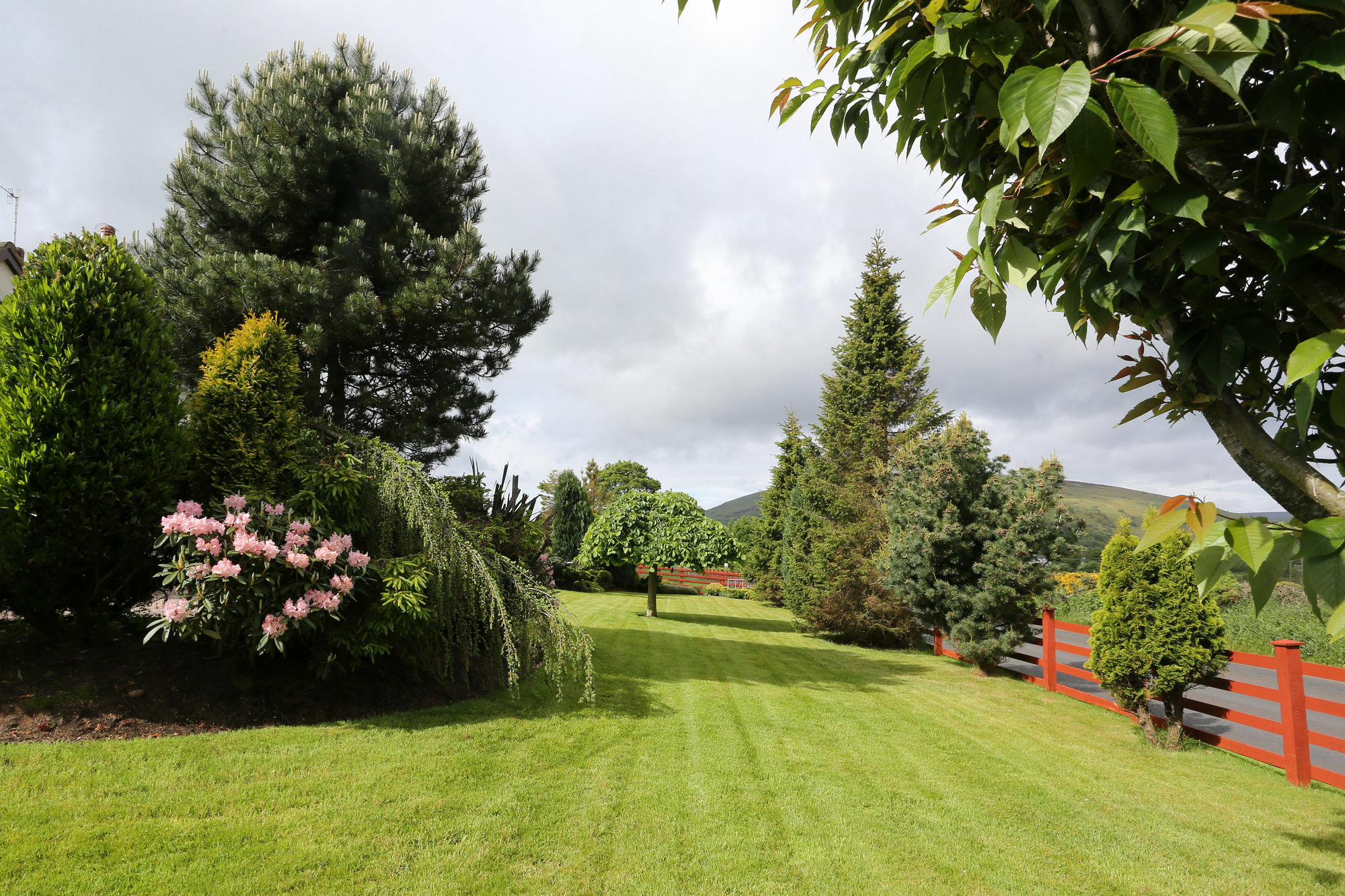 Sleepy Hollow B&B Ballymena Exterior photo